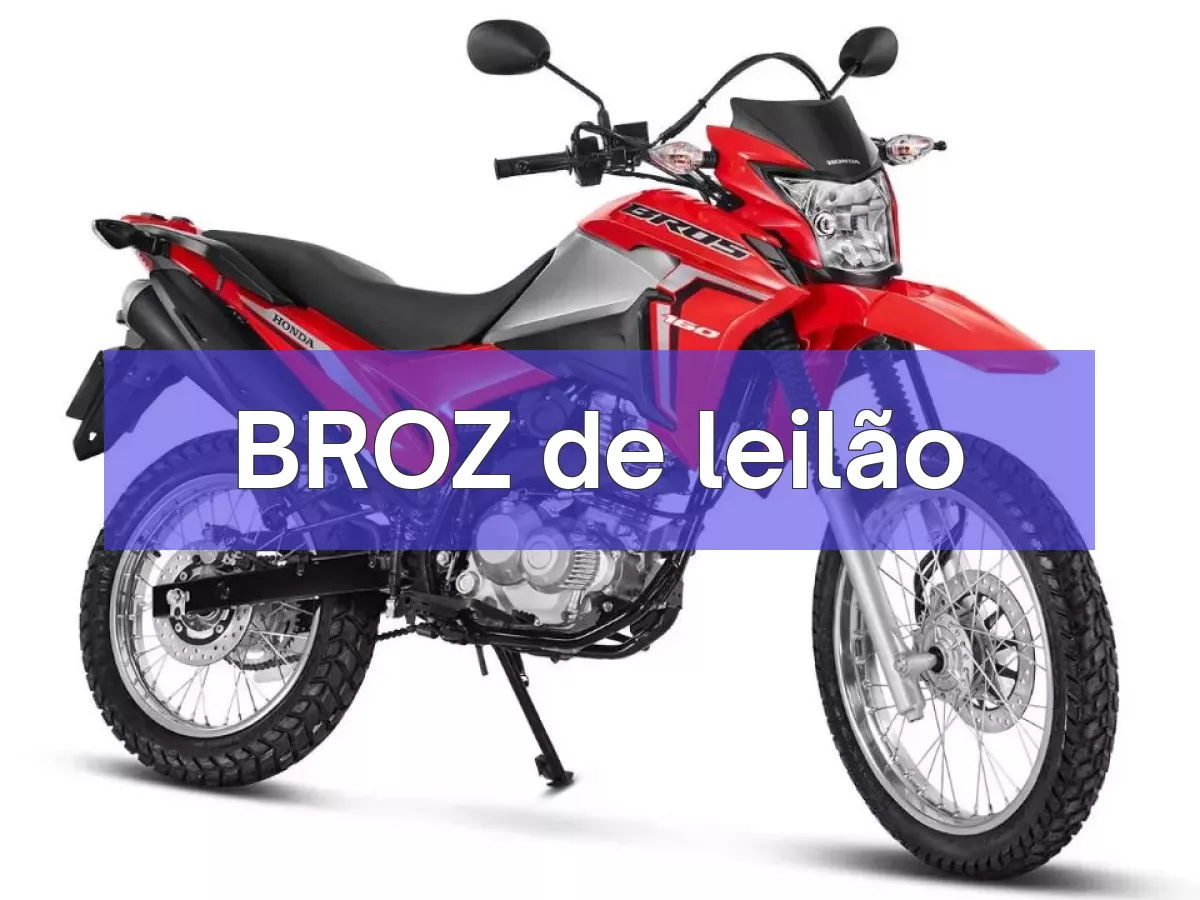 BROZ em leilão
