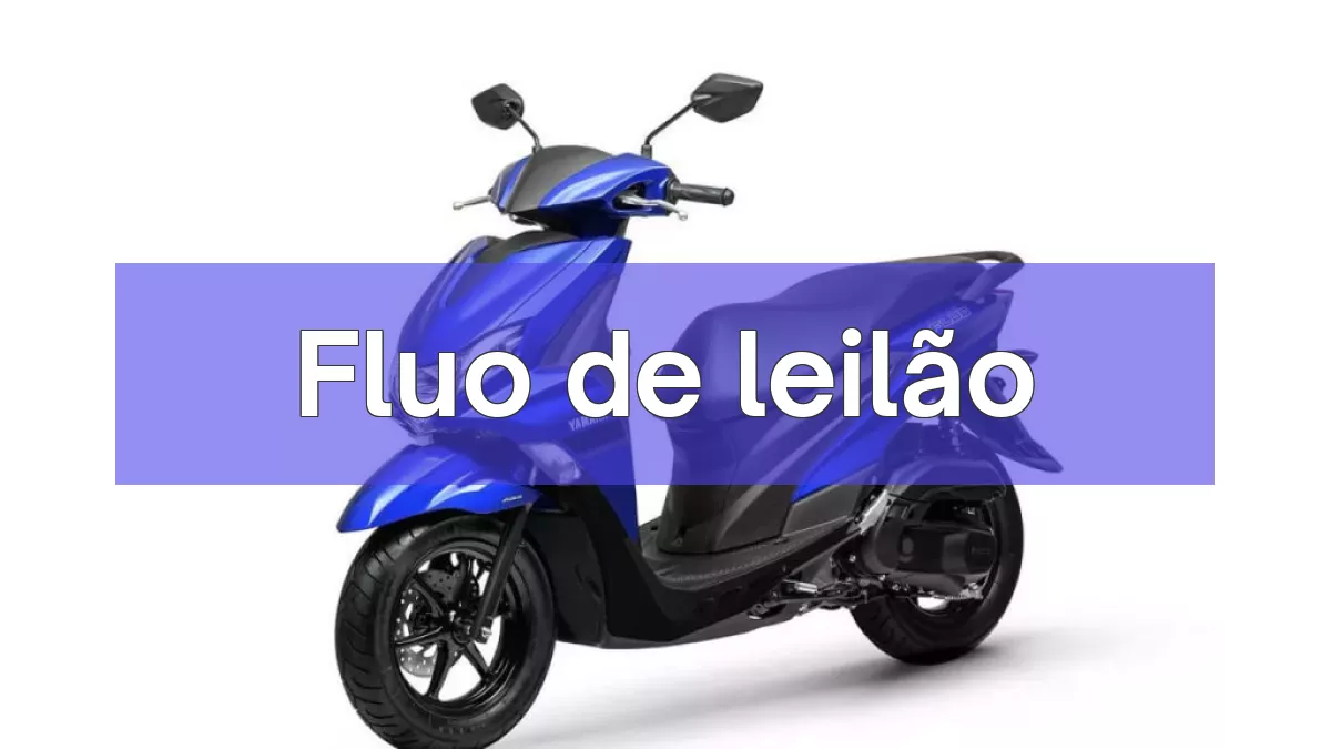 Fluo em leilão