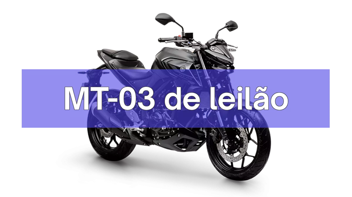 MT-03 em leilão