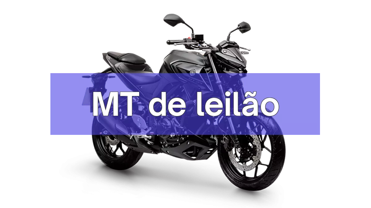MT em leilão