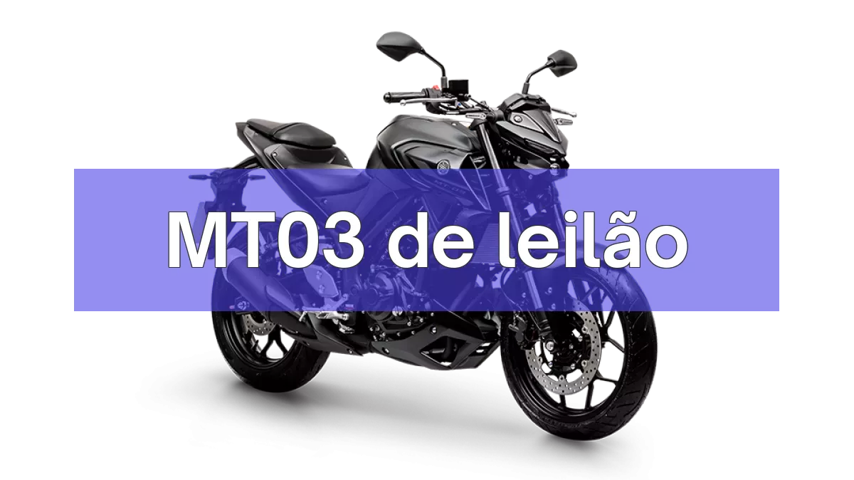 MT03 em leilão