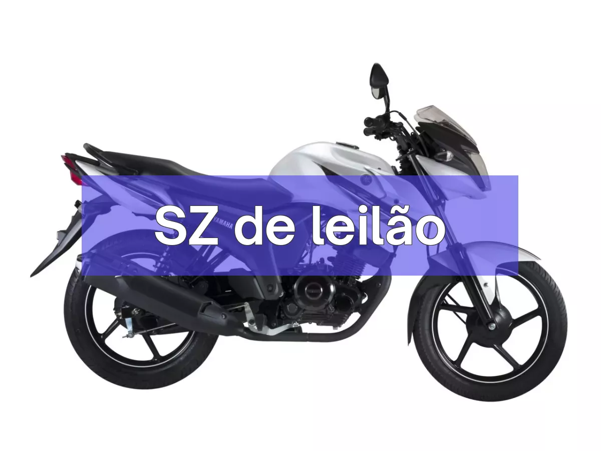SZ em leilão