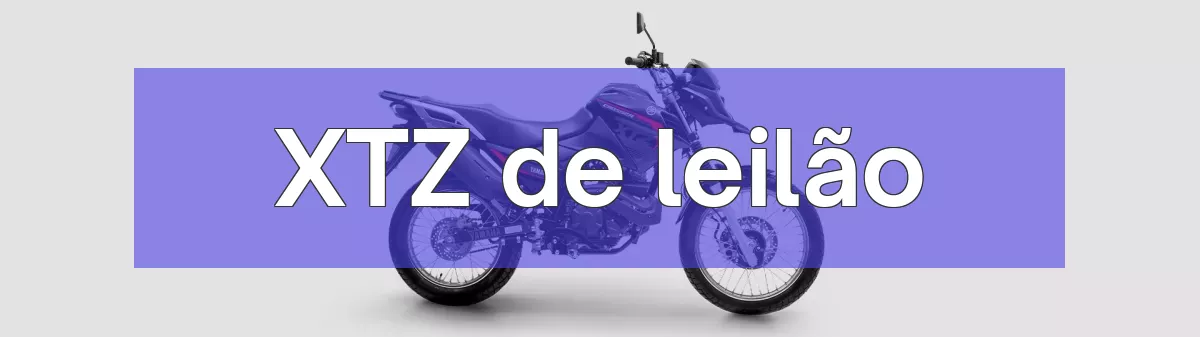 XTZ em leilão