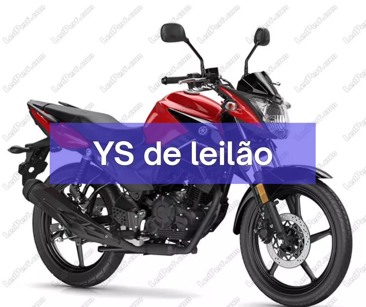 YS em leilão