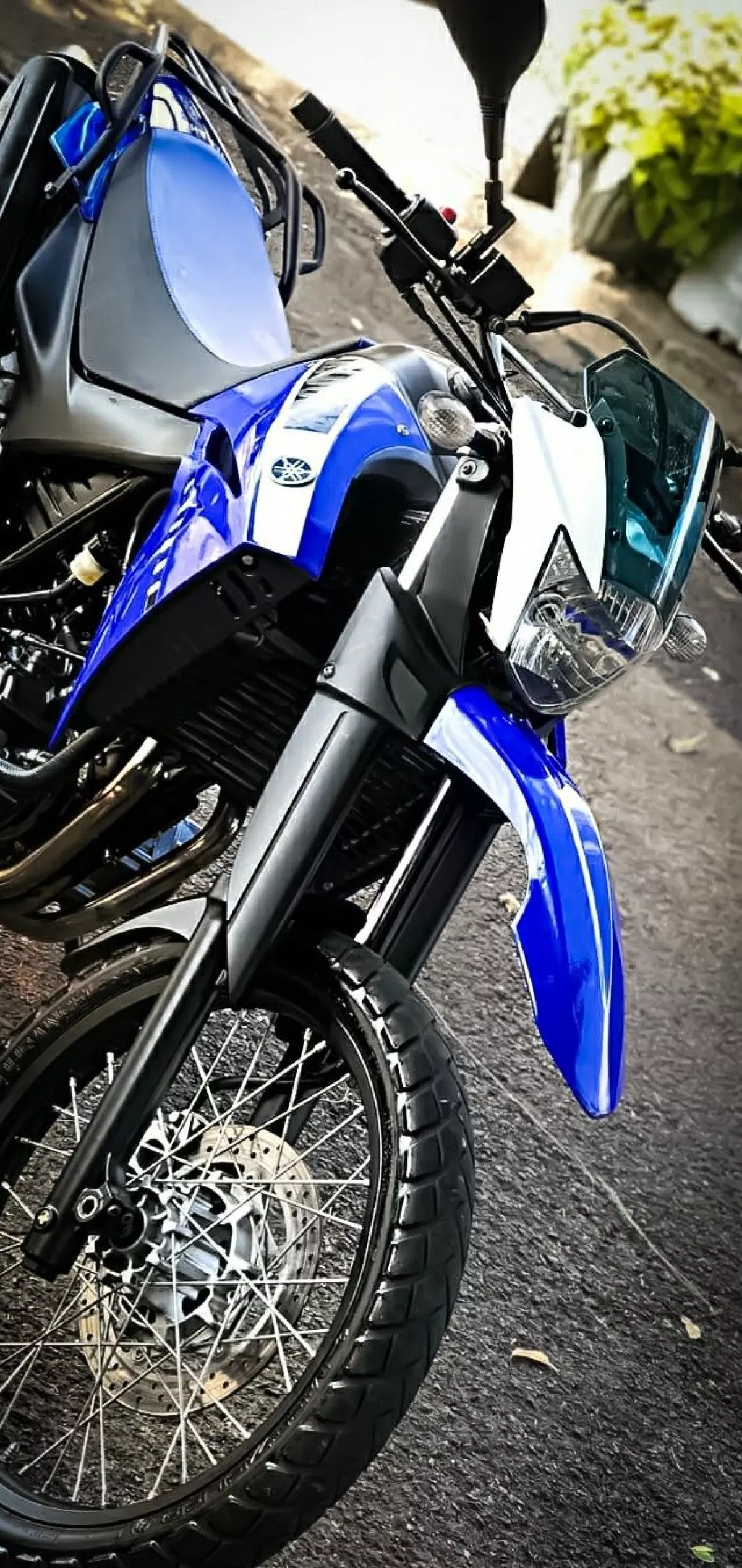 XT
