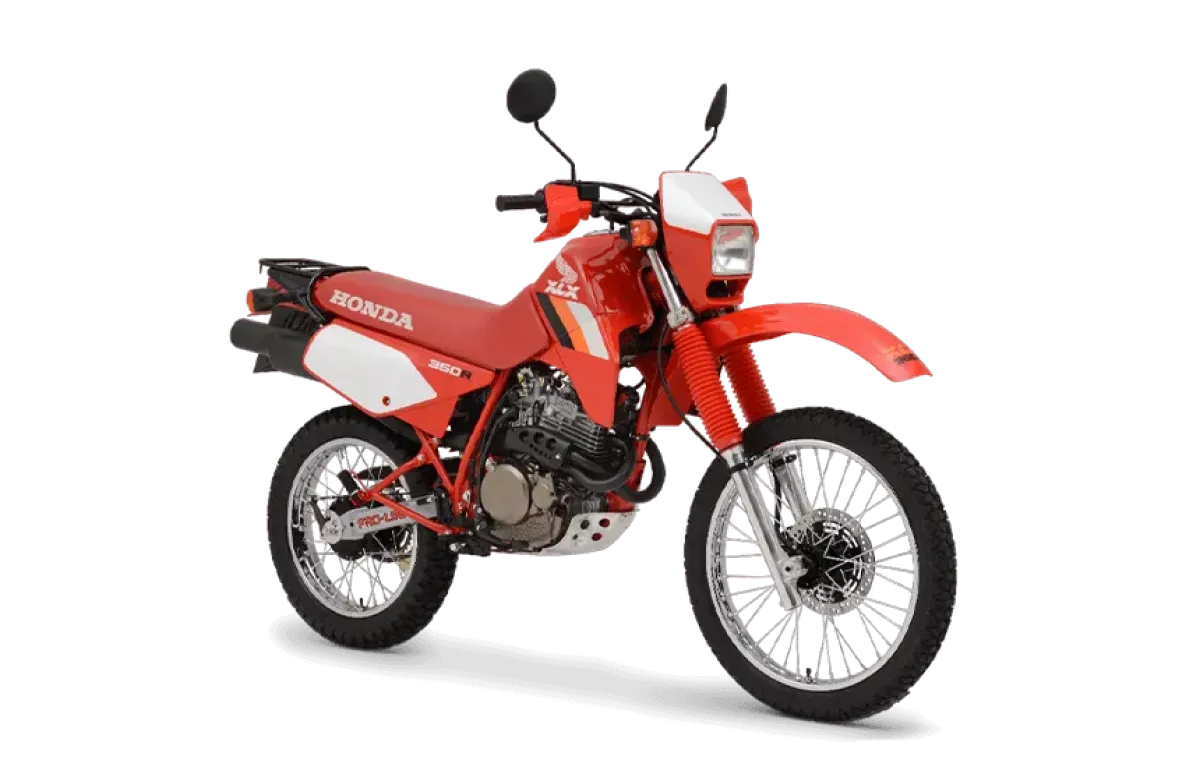 XLX