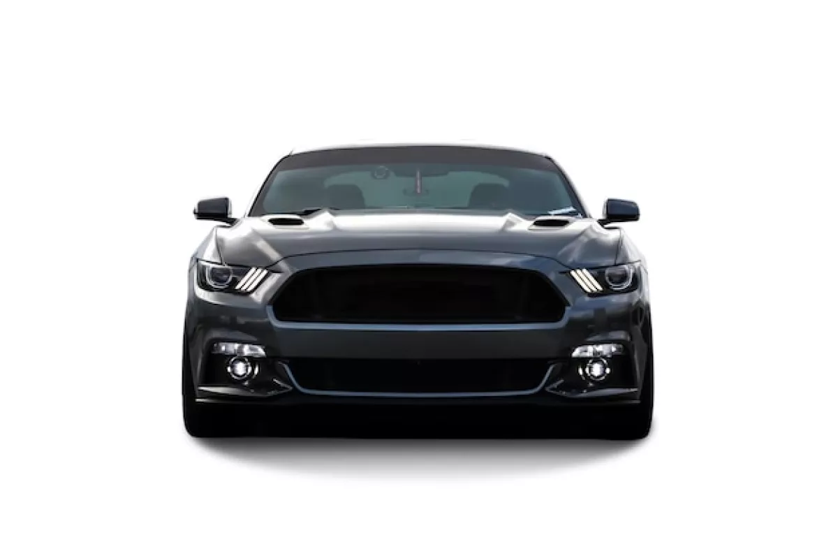 Mustang