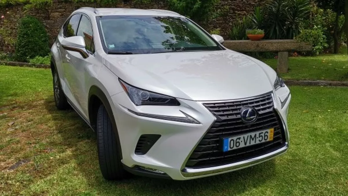 NX300H
