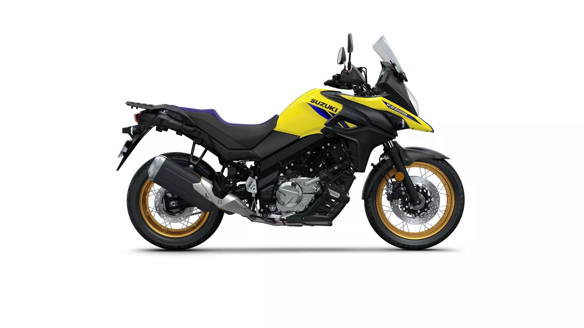 DL650