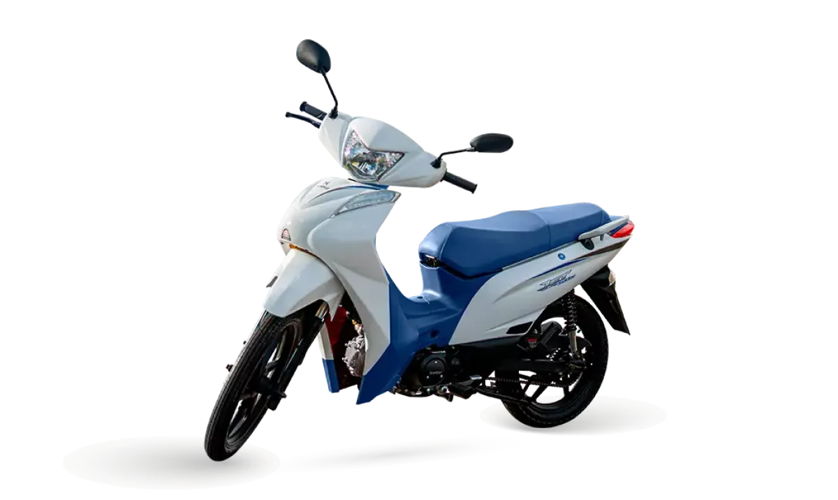 XY 50 Q