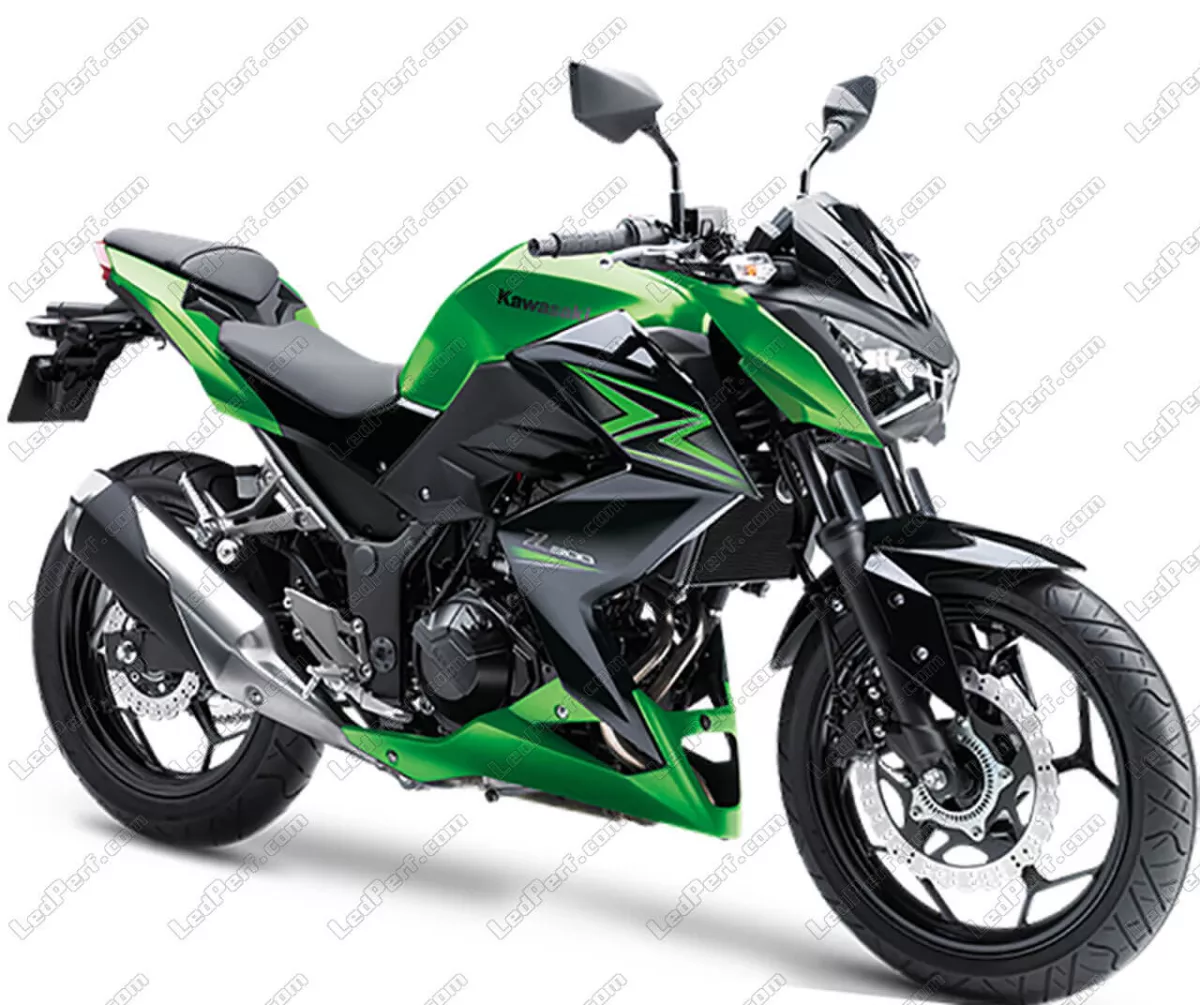 Z300