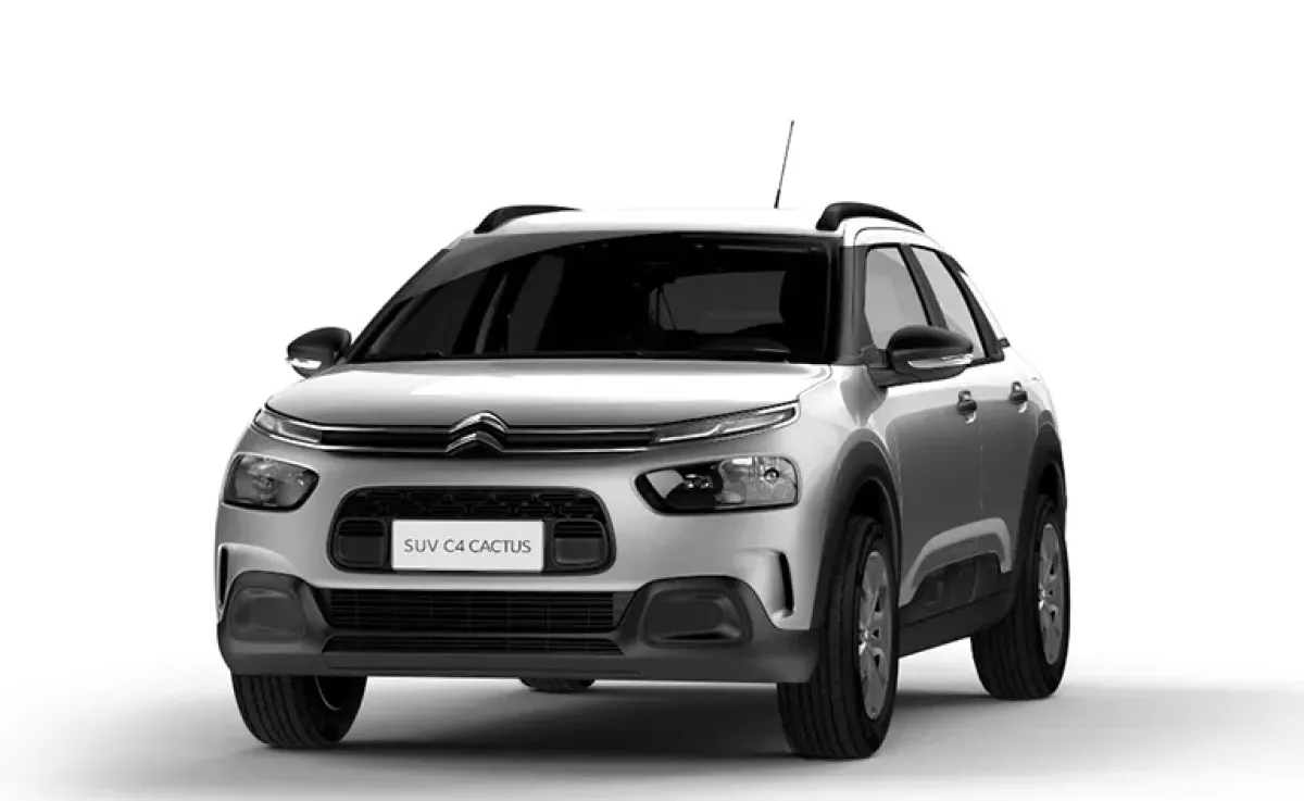 C4 Cactus